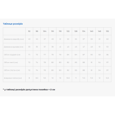 Вишиванка для хлопчика Galychanka Всеволод темно-синя