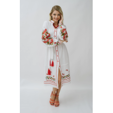 Жіноча вишита сукня Galychanka Килина біла