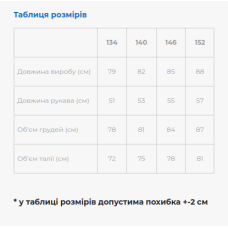 Комплект вишиванок з сукнями Galychanka Всеволод і Квіти білі з синім