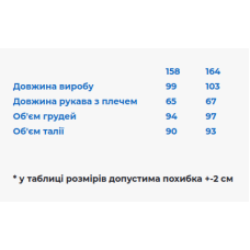 Вишита сукня для дівчинки підлітка Galychanka Квіти Праги біла з червоним