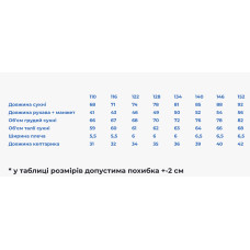 Вишита сукня для дівчинки Galychanka Магдалинка