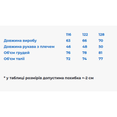 Вишита сукня для дівчинки Galychanka Празькі квіточки пудрова
