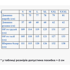 Чоловіча вишиванка Galychanka Полковник блакитна