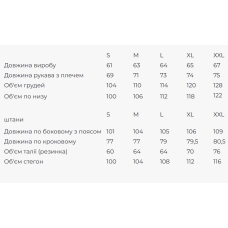 Жіночий костюм з вишивкою Galychanka Барвограй коричневий з кольоровим