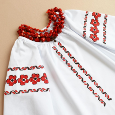 Вишиванка для дівчинки Ladan Юленька