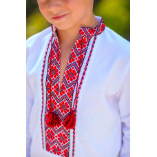 Вишиванка для хлопчика Trend Барви