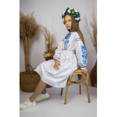 Вишита сукня для дівчинки Trend Диво біла з синім