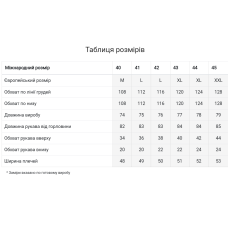 Чоловіча вишиванка Svarga Колорит