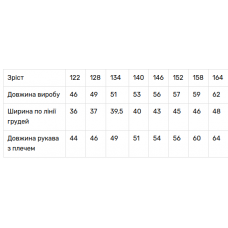 Вишиванка для дівчинки V&V Квіточка