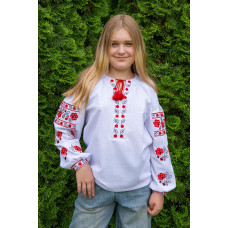 Вишиванка для дівчинки V&V Малинка