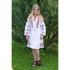 Вишита сукня для дівчинки V&V Малинка