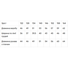 Вишиванка для дівчинки V&V Мрія