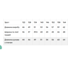 Вишиванка для дівчинки V&V Україночка
