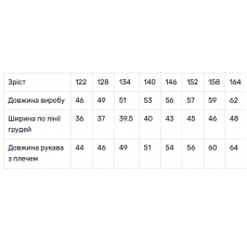 Вишиванка для дівчинки V&V Василина