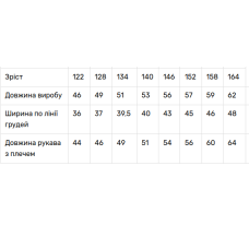 Комплект вишиванок V&V Весняночка і Богдан молочні