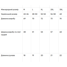 Чоловіча футболка з вишивкою V&V Донт пуш зе хорсес