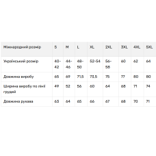 Чоловіча вишиванка V&V Гетьман чорна