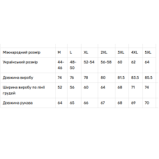 Чоловіча вишиванка V&V Дмитро