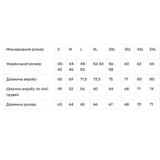 Чоловіча вишиванка V&V Зореграй