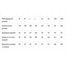 Жіноча вишиванка V&V Бавовна
