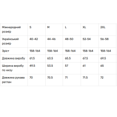 Жіноча вишиванка V&V Геометрика молочна
