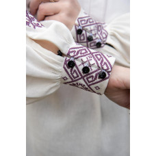 Жіноча вишиванка V&V Ластівки