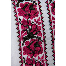 Жіноча вишиванка V&V Троянди біла